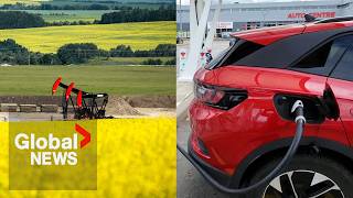 China hits Canada with antidumping canola probe after EV tariffs [upl. by Sherill841]