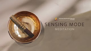 Sensing Mode Cultivating Mindfulness  30Minute Guided Meditation [upl. by Aicilyhp]