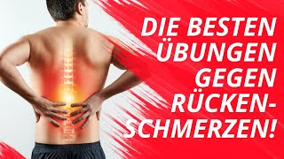 Rückenschmerzen einfach wegtrainieren  20 Minuten Workout [upl. by Vasti]