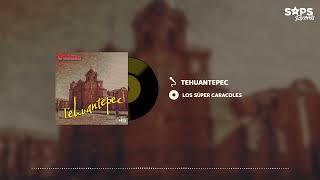 Los Súper Caracoles  Tehuantepec Audio Oficial [upl. by Aihsakal608]