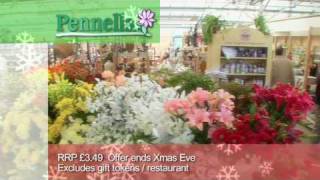 Pennells Garden Centre  Christmas [upl. by Markus]