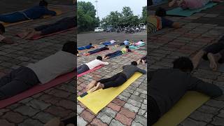 IBS best yoga ibs youtubeshorts meditation yt viralvideo trending yoga flute music relax [upl. by Amikay]