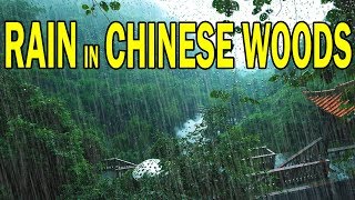 🎧 RAIN IN CHINESE WOODS  Ambient Noise For Relaxation Sleep Studying Ultizzz day38 [upl. by Zeeba]