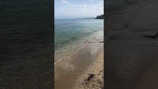 Urlaubsorte türkiye Sinop hollydays chip izin beach shortvideo shorts youtubeshorts new [upl. by Nadeen]