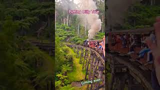 Puffing Billy Tour  coming soon [upl. by Tremain566]