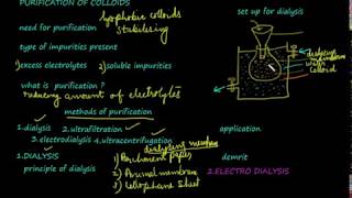 Dialysis purification of colloids class 12 chemistrysurface chemistryvideo 14 [upl. by Brownson951]