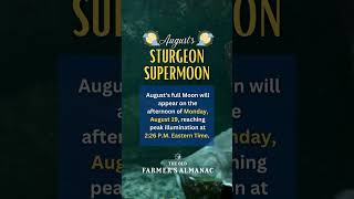 Augusts FULL STURGEON SUPERMOON [upl. by Aicelet]