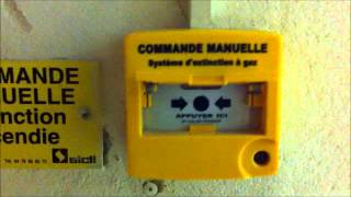 Alarme Incendie  Declencheur Manuel Double Action [upl. by Strong294]