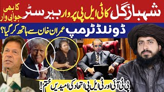 Donald Trump betrayed Imran Khan PTI  Reply To​⁠drshahbazgill  Barrister Usman Mangat VLOG [upl. by Cuhp]