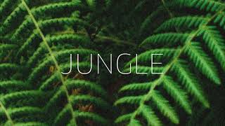 Noah Werker  Jungle Audio [upl. by Williamsen358]