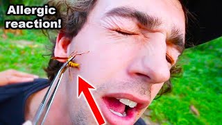 STUNG in FACE by an EXECUTIONER WASP Exposed Coyote Peterson [upl. by Jenette602]