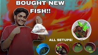 Buying An Arowana Fish Fish purchasing Vlog [upl. by Enois]