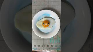 Moldable Plastic Sunny Side Up Egg 🍳 [upl. by Dilahk]