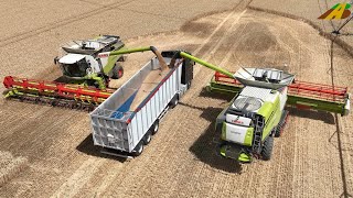 Getreideernte 2022 Weizen dreschen Claas Mähdrescher combine harvester wheat harvest Landwirtschaft [upl. by Acissj]