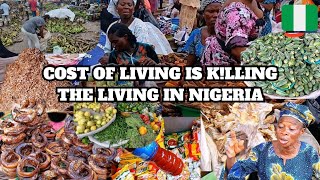 Market Vlog Local Food Market in Lagos  Cost Of Living Skyrockets  Touring a Food Market [upl. by Royce]