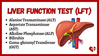 Liver Function Tests LFTs  liver function test interpretation  Animation  MultiLanguages [upl. by Naneik583]