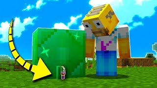 😱 ¡NOS ESCONDEMOS EN LA ESMERALDA MÁS PEQUEÑA DE MINECRAFT  MINI ESCONDITES EN MINECRAFT [upl. by Ettolrahc]