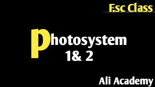 Photosystem And Its Types  Antenna  Class 11 Biology [upl. by Boy859]