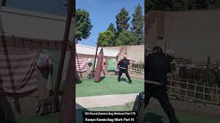 150 Pound Banana Bag Workout Part 171 Kenpo Karate Bag Work Part 1 [upl. by Anni673]