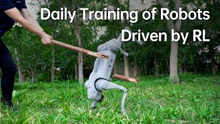 Daily Training of Robots Driven by RL [upl. by Akener]