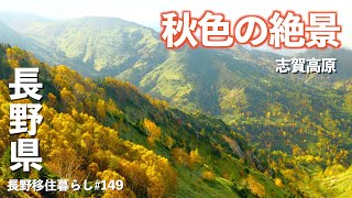 【長野移住】長野県に秋がやって来ました紅葉狩りはピークの志賀高原へ｜志賀高原｜紅葉｜ドライブ｜田舎暮らし｜長野県｜4K [upl. by Akeryt]