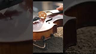 The Ultimate Guide To Stradivarius Violins Unleashing Perfection In Strings youtubeshorts shorts [upl. by Kalam435]