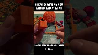 Bambu Lab A1 Mini For The Win [upl. by Xanthus]