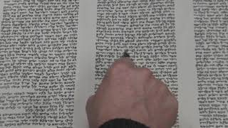 Maftir Reading for Parashat Vayigash Rabbi Moshe Weisblum קריאת מפטיר לפרשת ויגש הרב משה ויסבלום [upl. by Notnirt]