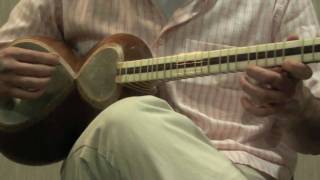 Persian Traditional Music Spring in Sorrow  بهار غم انگیز [upl. by Losyram178]