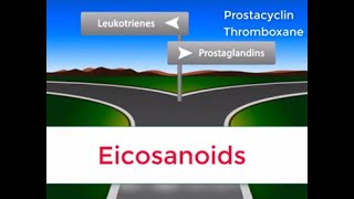 Eicosanoids in 2 minutes Prostaglandins Prostacyclin Thromboxane and Leukotrienes [upl. by Aurthur944]