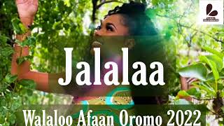 Walaloo Jaalalaa Afaan Oromoo [upl. by Nooj76]