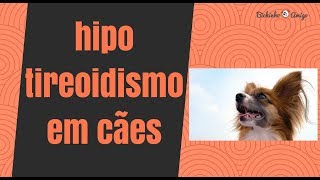 Hipotireoidismo em cães sintomas e tratamento [upl. by Rosalinde]