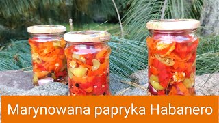 Marynowana papryka Habanero [upl. by Odilia]