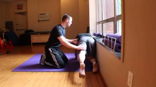 Transverse Abdominis and Gluteus Maximus Activation Progressions [upl. by Antonetta503]