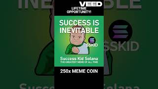 💰Get Rich With Crypto  250X Success Kid SKID  Solana Meme Coin  Best Solana MEME COIN [upl. by Haikan820]