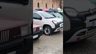 Fiat Panda a Pandino 2024 fiat fiatpanda automobile [upl. by Elatsyrc]