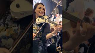 Violinist Vanessa P Nassar Performs Arabic Folklore Song ‘حالي حالي حال’ at Elegant Arabic Wedding [upl. by Airam]