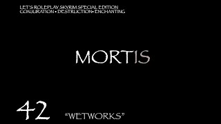 MORTIS Skyrim Mage Roleplay Episode 42 quotWetworksquot [upl. by Zared]