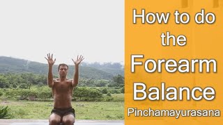 How to Do the Forearm Balance  Ashtanga Pinchamayurasana [upl. by Howenstein228]