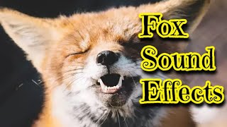 Fox Sound Effects [upl. by Inoliel]