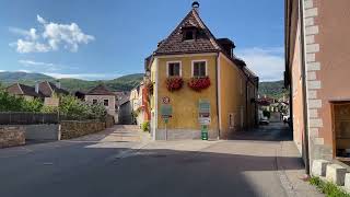 Weissenkirchen Wachau Valley Green hills Vineyards  4K walking tour [upl. by Nicko]