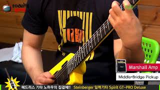 Todaysgear Steinberger Spirit GTPRO Deluxe [upl. by Raynor]