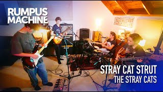 Stray Cat Strut Live Cover  Stray Cats  Rumpus Machine  Live Classic Rock amp Originals Band [upl. by Portwine]