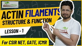 Actin filaments structure and function  Microfilaments  actin filaments assembly and disassembly [upl. by Eydnarb712]