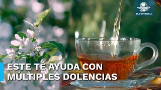 Esta deliciosa infusión ofrece múltiples beneficios para tu salud [upl. by Ylrebmek]