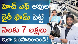 HF Cow Farming in Telugu  How to Start HF Cow Farming  HF Cow Milk Per Day  HF Cow Benefits [upl. by Enineg]