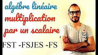 algébre linéaire 3  multiplication par un scalaire [upl. by Kcired]