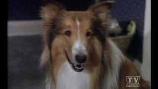 The New Lassie Season1 Eps21 [upl. by Ycart]