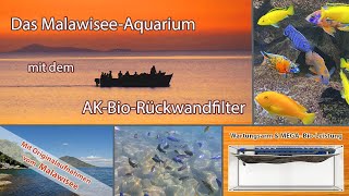 Das Malawisee Aquarium mit dem AKBioRückwandfilter [upl. by Trace]