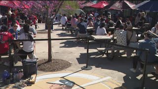 Braves fans get together in Atlanta to watch Opening Day [upl. by Wendall]